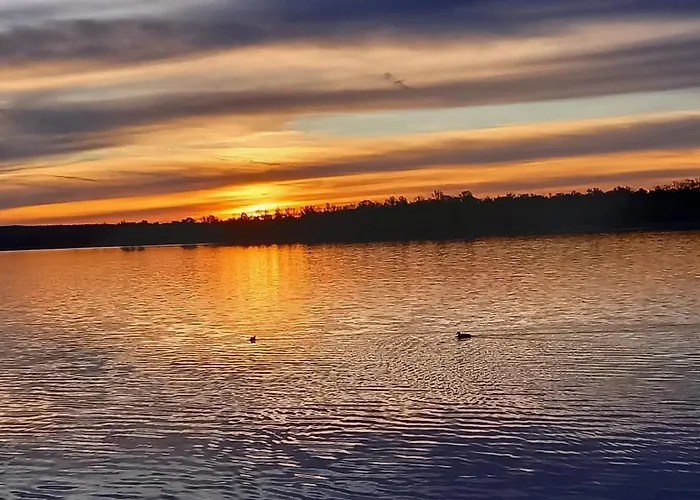 Apartment Im Gruenen *